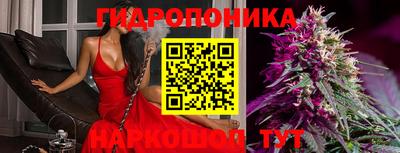 apvp Севастополь