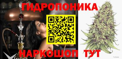 apvp Севастополь