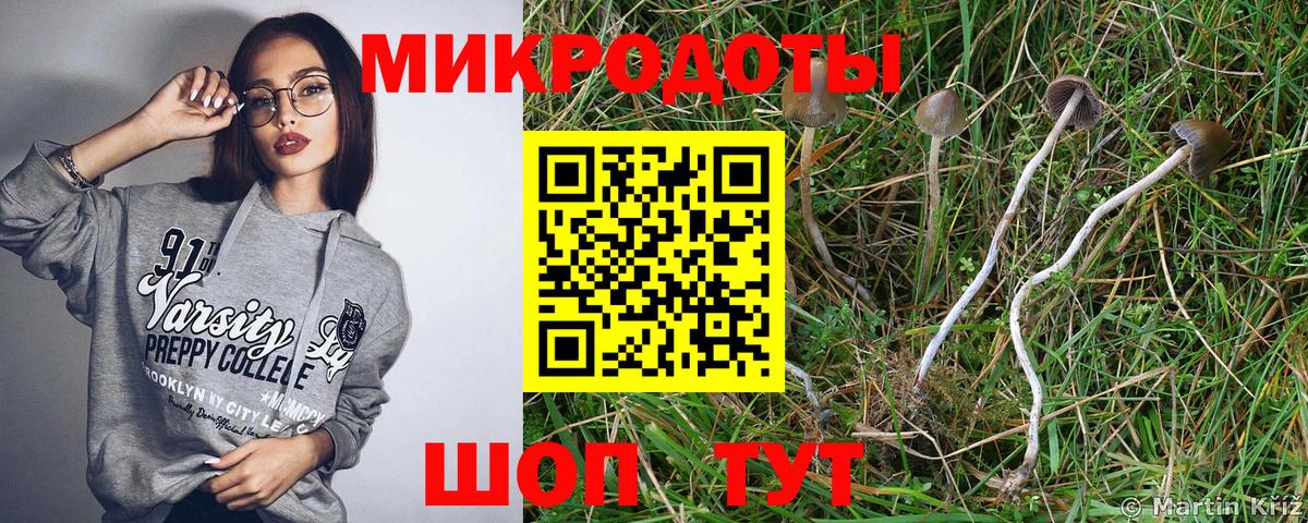 Псилоцибиновые грибы Magic Shrooms Осинники